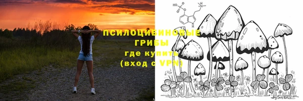 не бодяженный Арсеньев